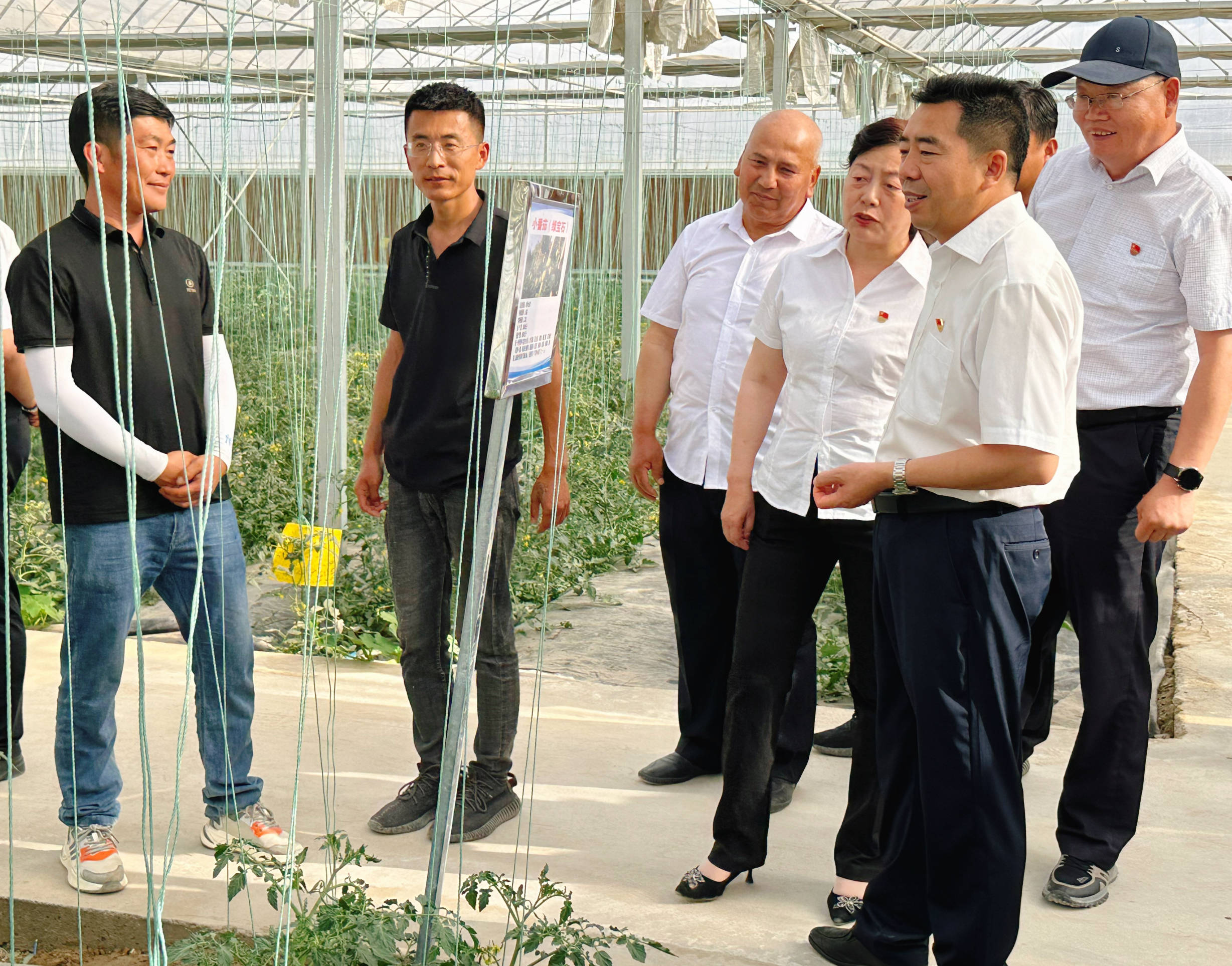 以农险高质量发展助力农业强国建设