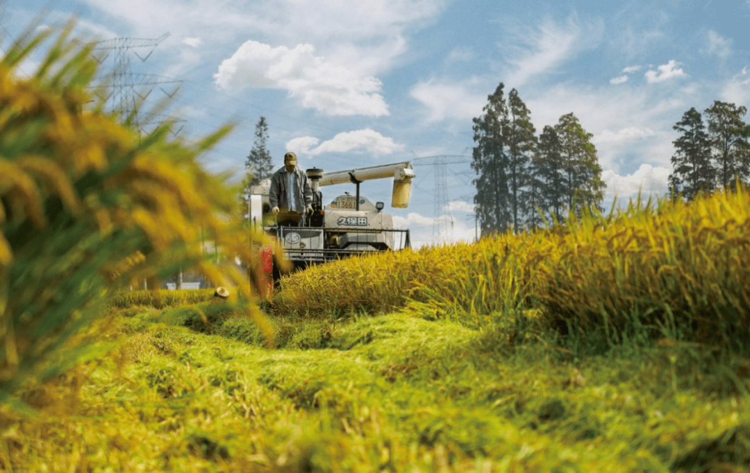 以农险高质量发展助力农业强国建设