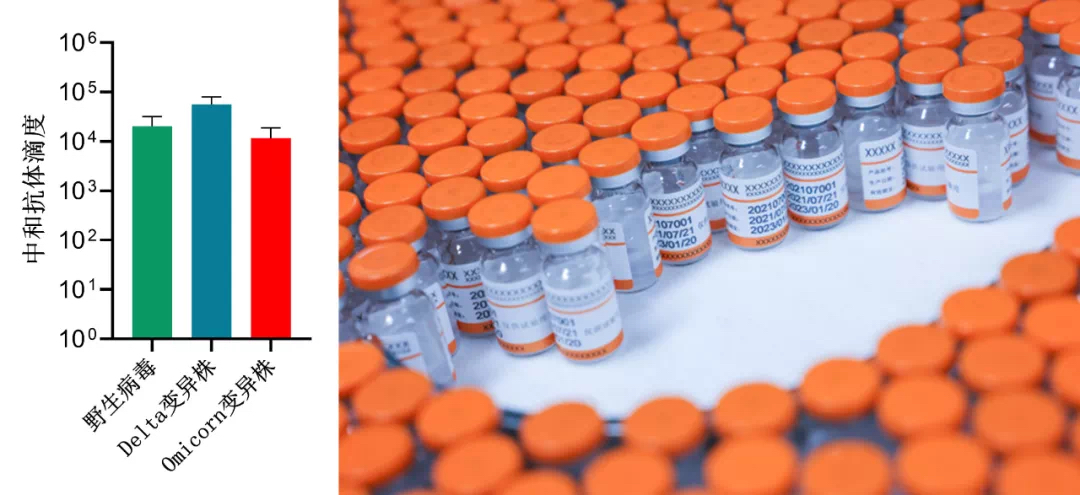 加科思：Glecirasib与西妥昔单抗突变结直肠癌注册性三期临床试验获批