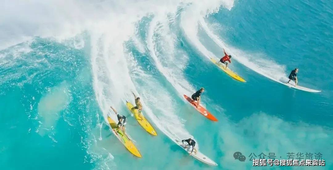 万物云蝶城数量增至642个 下半年预计对不少于50个蝶城进行流程改造