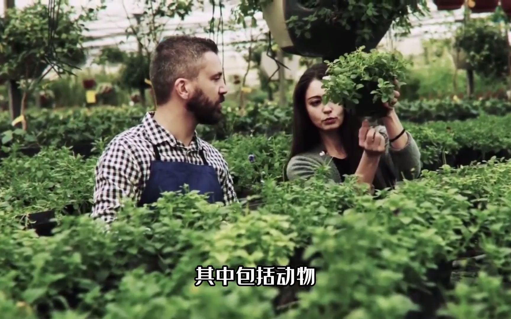 “克隆地球”生意难做 五一视界变道港交所