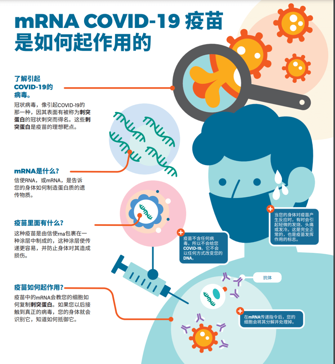艾美疫苗/百克生物Ⅱ型单纯疱疹病毒mRNA疫苗获批临床试验